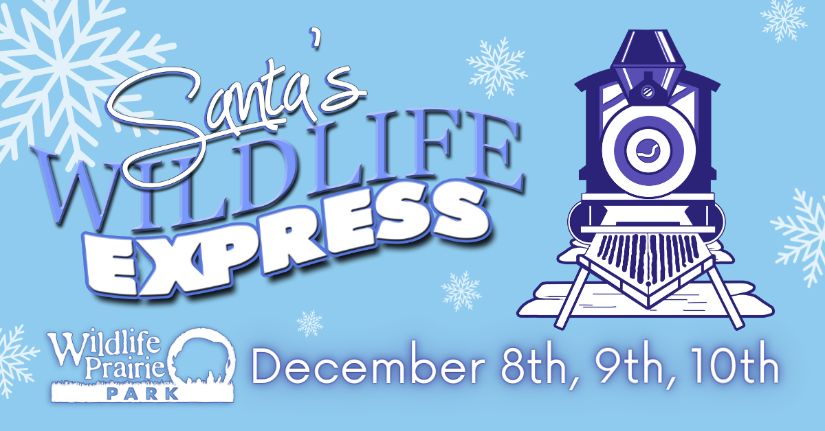 Santa's Wildlife Express